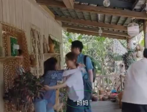 出门|海清胡先煦做客《向往4》,张子枫出门迎接,却喊了一声“妈妈”