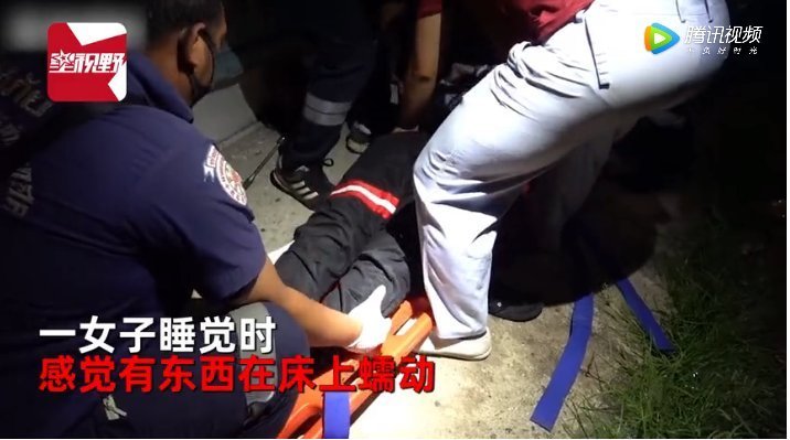  柬埔寨|柬埔寨女子半夜感觉床上有东西蠕动尖叫声惊醒丈夫拨打急救电话