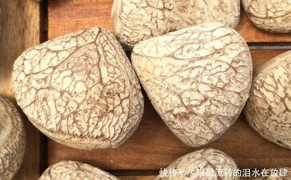  哪种|水果界的“李佳琦”，吃遍3000多种水果，哪种最好吃