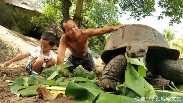 盖栋|滞留塞班5个月,每天追剧游泳看大海!盖栋别墅荒度余生