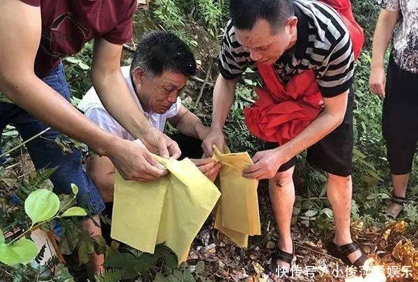 证据|从最近的案件看：若罪犯死不承认，又没有证据，就疑案从无吗？