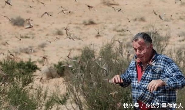 持续|持续半年的蝗灾,巴铁终于迎来希望,12架大疆无人机已送达!