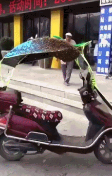 搞笑|搞笑GIF:人撒狗粮也就算了,连车也撒