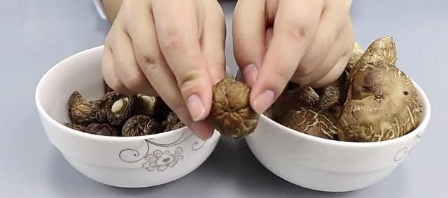 香菇|你买蘑菇还是干香菇?哪个更香,更有营养?大多数人都不知道!