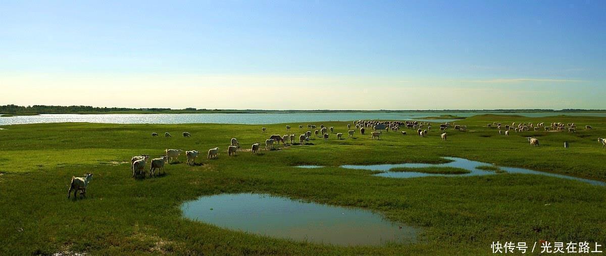  嫩江|映像中国—这里被称为“丹顶鹤之乡”，这里有众多湿地保护区景观