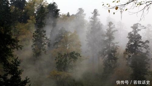  奉命|绝密行动：1980年，原四野主力部队的士兵奉命潜入越南执行任务