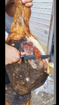 大哥|搞笑GIF:大哥,这是什么肉,感觉很好吃的样子