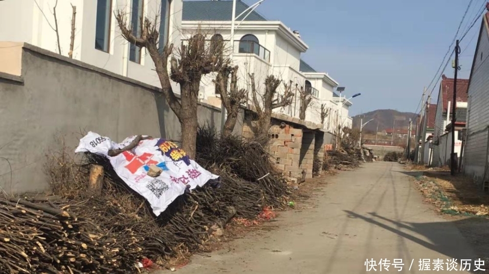  勃利县|迁西县、五原县、江宁区、伊金霍洛旗、勃利县