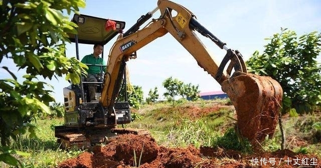 头疼|中国人终于头疼了!由于数量过多,不得不开着挖掘机“铲掉”