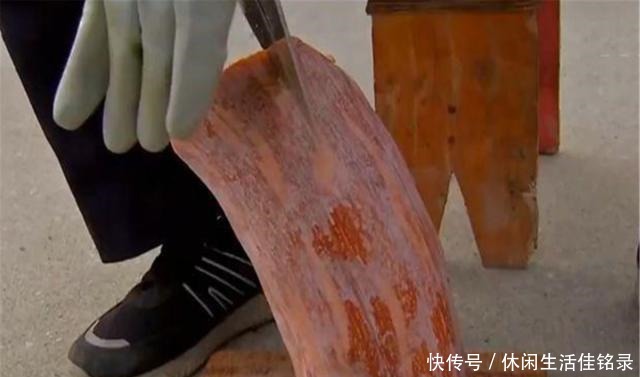 混养|水池中混养龙虾,学会这几招,不赚钱都不行