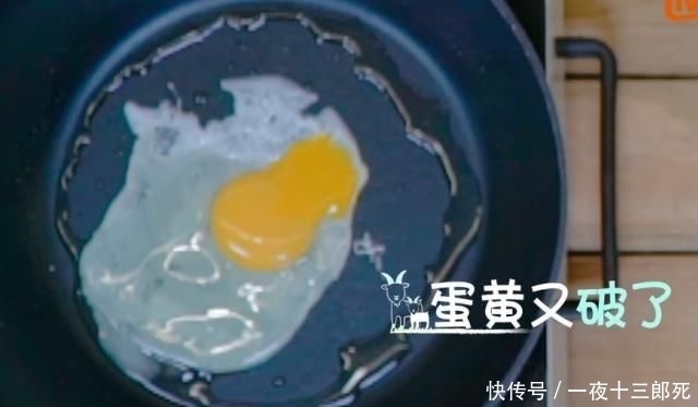  奇妙|《奇妙小森林》张新成煎蛋失败太失落，谭松韵咋安慰他的？太宠了