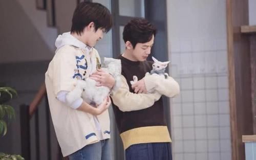  盘点|盘点2020年4月热播的七大综艺节目，你最喜欢哪个？