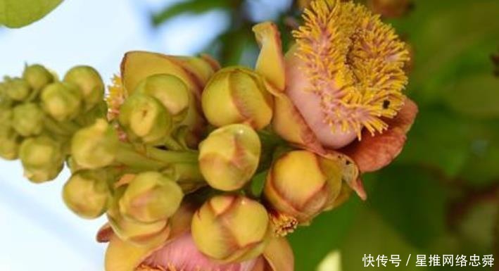 频传|九月上旬开始,喜报频传,财运暴涨,财喜两旺的生肖