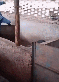 gif|搞笑gif:货车都被你开出赛车的感觉了!厉害了老司机