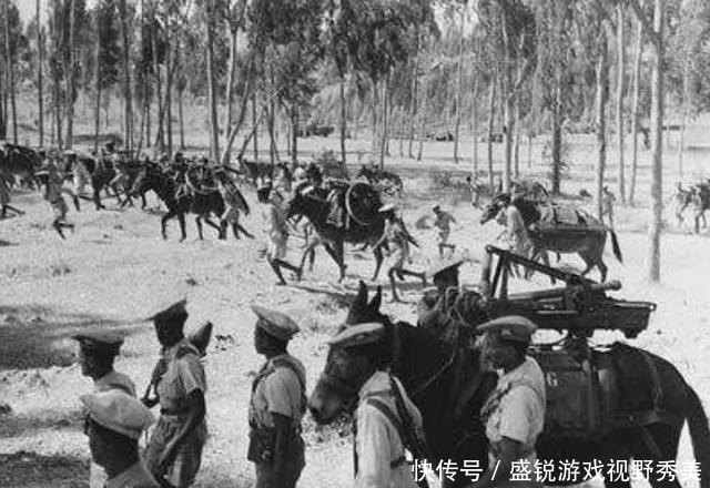  世界|最窝囊的发达国家，军队战斗力很弱，但黑社会却是世界第一