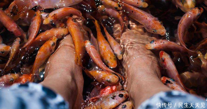 全身|做鱼疗全身太酥麻！导致女子“尿失禁”，结果小鱼全被毒死....