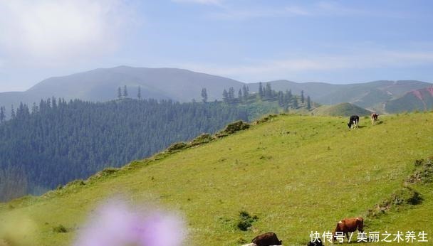 西宁|西宁退骨肉，吃完骨头钱还能退，当地人这有什么奇怪的