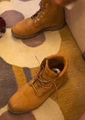 婚鞋|藏婚鞋的几种方法!