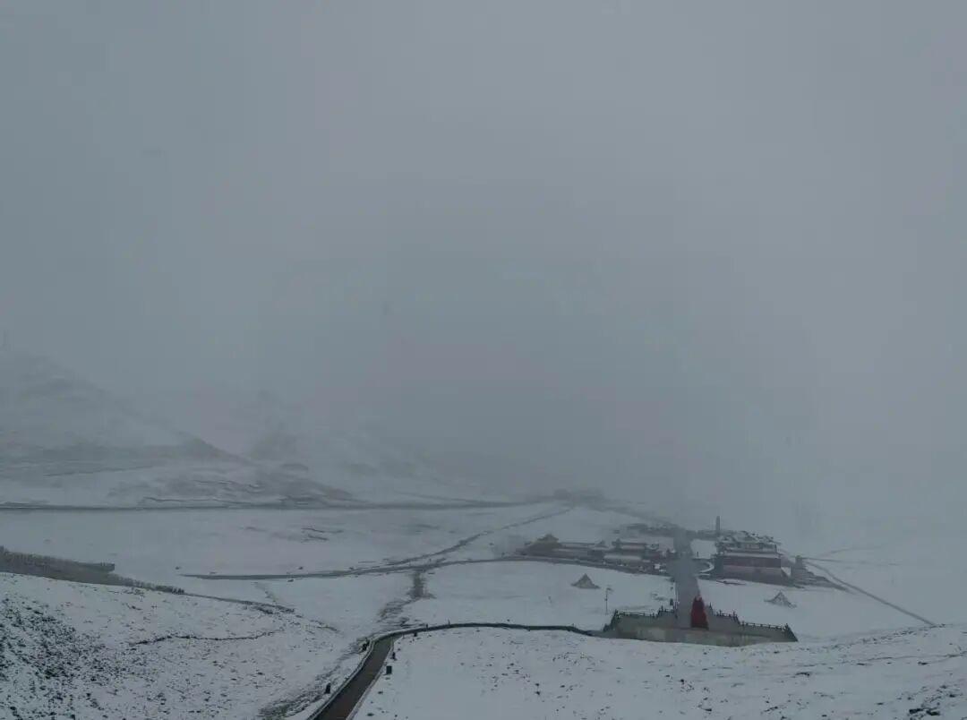 t11508c75c875432de6d717ec16.jpg?size=108