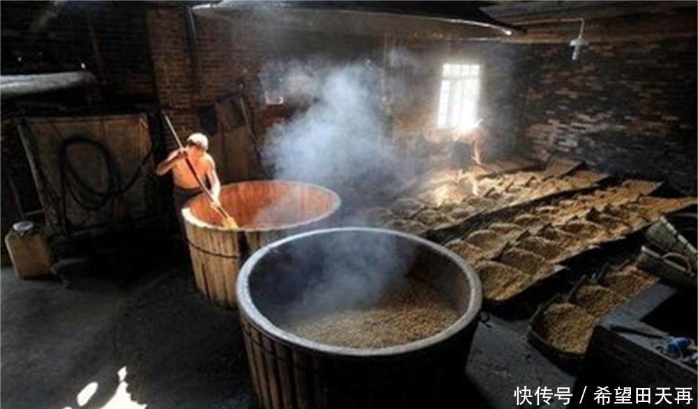 酿酒工艺全解析:从原料到成酒的完整技术路线