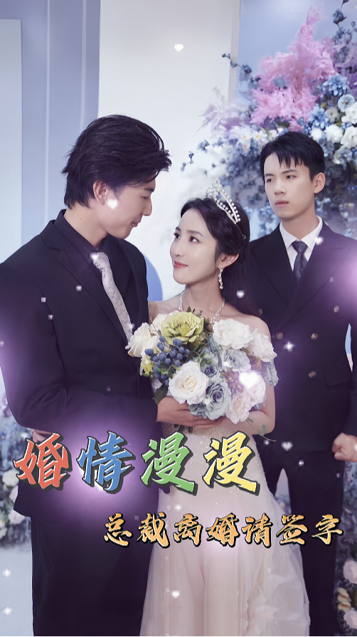 婚情漫漫，总裁离婚请签字